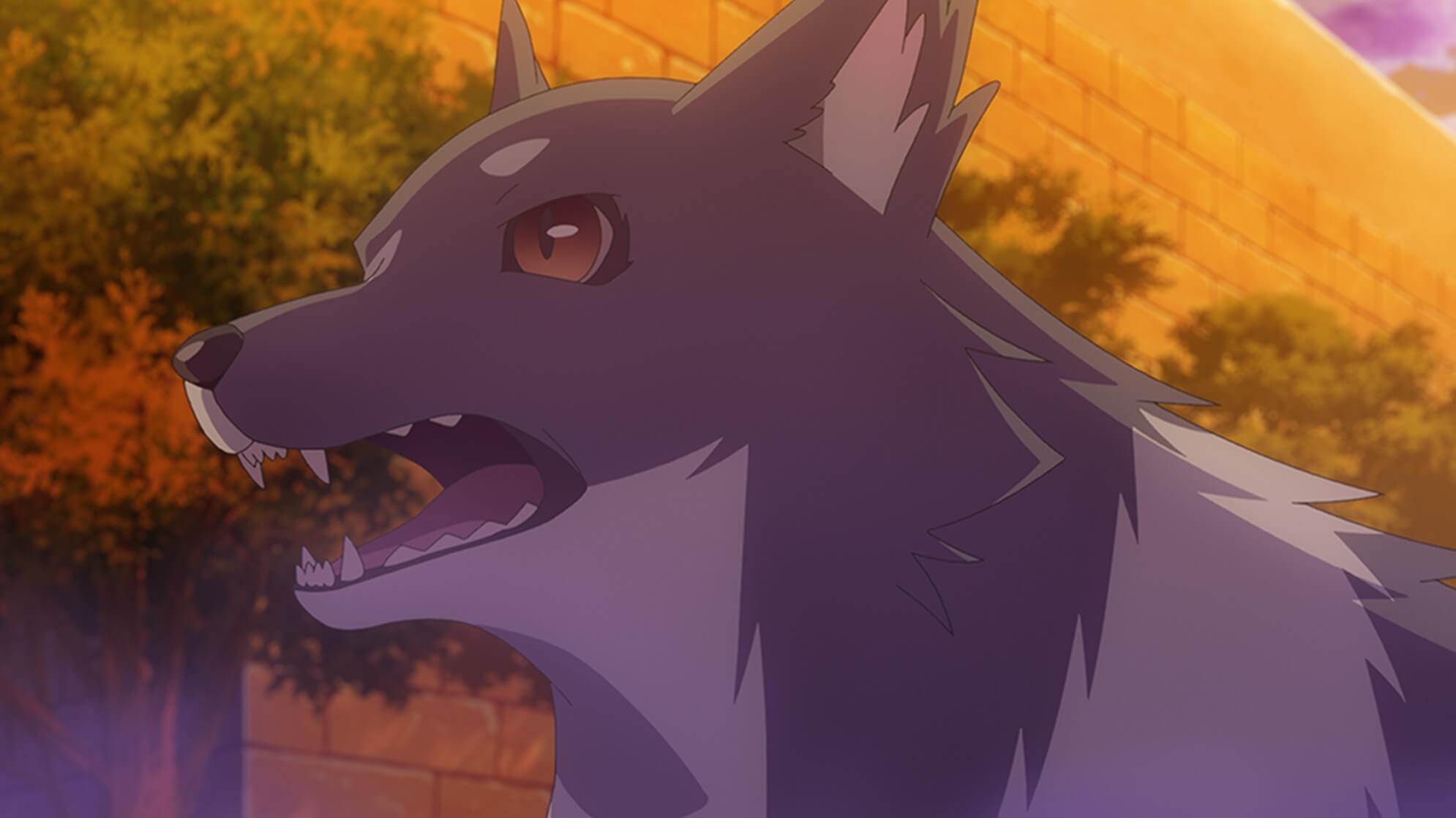 「ヨハネのまほう」